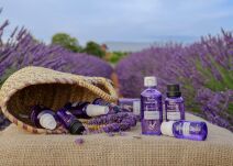 Olejki Esprit Provence