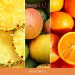 Exotic Fruits - Yankee Candle - duża świeca - seria Home Inspiration - 3