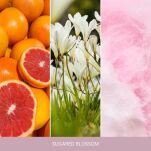 Sugared Blossom - Yankee Candle - duża świeca - seria Home Inspiration - 3