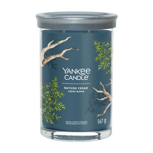 Bayside Cedar - Yankee Candle Signature - świeca tumbler z dwoma knotami