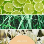 Millefiori Milano Lime & Vetiver - uzupełniacz do pałeczek 250 ml - 2