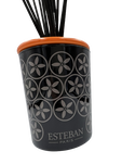 Dekoracyjna pusta karafka z pałeczkami - Esteban Paris - 100ml - 3