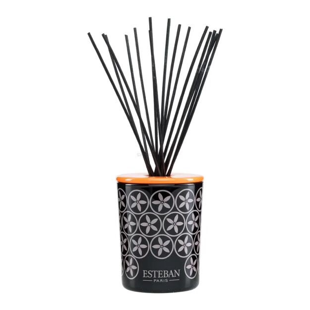 Dekoracyjna pusta karafka z pałeczkami - Esteban Paris - 100ml