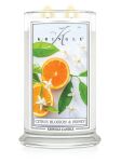 Kringle Candle Citrus Blossom & Honey - duża świeca zapachowa 624 g 2 knoty - 2