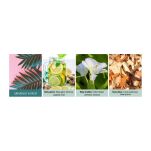 Gingerlily & Palm - Kringle Candle - wosk zapachowy 64 gram - 2