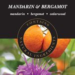 Mandarin & Bergamot - Wkład do Lampy Zapachowej Ashleigh & Burwood 500 ml - 3