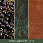 Silver Sage & Pine - Yankee Candle - wosk zapachowy - 2