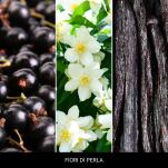 Fiori Di Perla - Millefiori Milano - Spray do tkanin 100ml LAUNDRY - 2