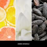 Ambra Minerale - Millefiori - dyfuzor zapachowy z patyczkami 100ml  - 3