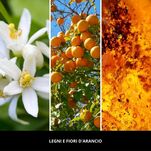 Legni E Fiori D'Arancio- Millefiori- pałeczki zapachowe 500 ml- seria Natural - 4