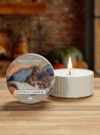 Kittens & Cashmere - Kringle Candle - mała świeca daylight 42 gramy - 2