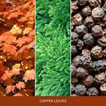 Copper Leaves - Yankee Candle - duża świeca - seria Home Inspiration - 2