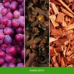 Warm Spicy - Mr & Mrs Fragrance - Zawieszka zapachowa CESARE - 2