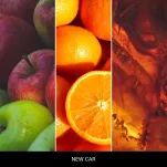 New Car - Mr & Mrs Fragrance - zapach odświeżacz do samochodu  + neutralizator brzydkich zapachów CESARE - 3