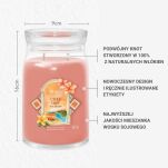 Capri Glow - Yankee Candle Signature - duża świeca z dwoma knotami - nowość 2025 - 2