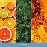 Snow Day - Yankee Candle - duża świeca - seria Home Inspiration - 2