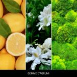 Gemme D'Agrumi - Millefiori Milano - Płyn zapachowy 250ml LAUNDRY - 2