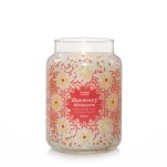 Discovery - Yankee Candle - Duża świeca - Zapach Roku 2021 - 2