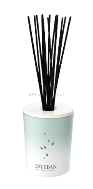 Dekoracyjna pusta karafka z pałeczkami - Esteban Paris - 100ml