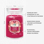 Santa On Skis - Yankee Candle Signature - duża świeca zapachowa - nowość 2025 - 2
