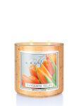Kringle Candle Tangerine Tulips - świeca zapachowa tumbler 411g - 2