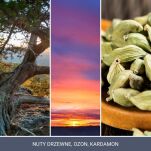 Twilight Tunes - Yankee Candle Signature - świeca tumbler z dwoma knotami - 4