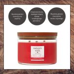 Redberry & Nutmeg - Woodwick - duża świeca z drewnianym knotem - seria Nature's Wick. - 3