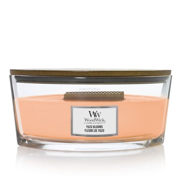 Yuzu Blooms - Woodwick - świeca elipsa z drewnianym knotem - nowość 2023