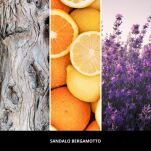 Sandalo Bergamotto - Millefiori Milano - Uzupełniacz do odświeżacza LED - 2