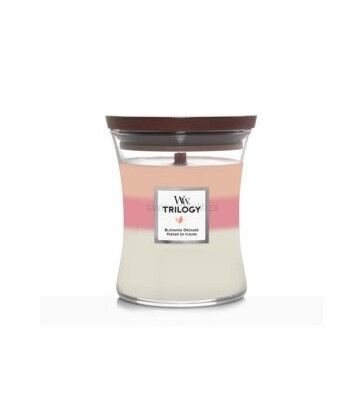 Blooming Orchard - Woodwick Trilogy - średnia świeca z drewnianym knotem 