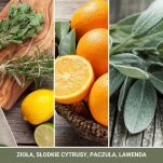 Sage & Citrus - Yankee Candle Signature - świeca tumbler z 1 knotem - 3