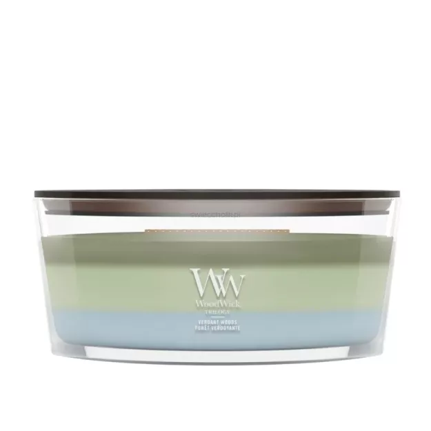 WoodWick Verdant Woods - świeca zapachowa elipsa Trilogy 453g