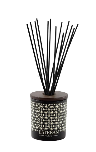 Dekoracyjna pusta karafka z pałeczkami - Esteban Paris - 100ml