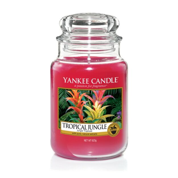 Tropical Jungle Yankee Candle - Świeca duża