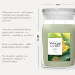 Sage & Citrus - Yankee Candle Signature - duża świeca z dwoma knotami - 2