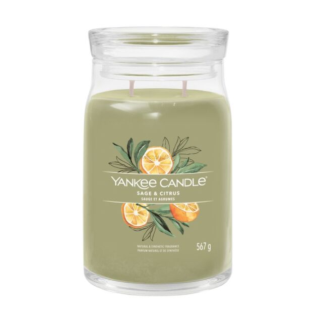 Sage & Citrus - Yankee Candle Signature - duża świeca z dwoma knotami 