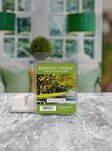 Spanish Moss - Kringle Candle - wosk zapachowy 64 gram - 2