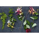 Esprit Provence Wiciokrzew (Chèvrefeuille) - mydło z Prowansji 120 g - 2