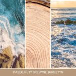 Amber & Sandalwood - Yankee Candle Singnature - średnia świeca z dwoma knotami - nowość 2022 - 3