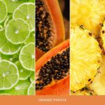 Orange Papaya - Woodwick - średnia świeca z drewnianym knotem - seria Nature's Wick. - 2