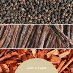 Millefiori Milano Vaniglia Bianca – olejek zapachowy - 2