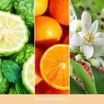 Bergamot & Neroli - Woodwick - średnia świeca z drewnianym knotem - seria Nature's Wick. - 4