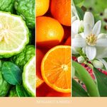 Bergamot & Neroli - Woodwick - duża świeca z drewnianym knotem - seria Nature's Wick. - 4