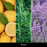 Riviera - Millefiori - olejek zapachowy 15 ml  - 2