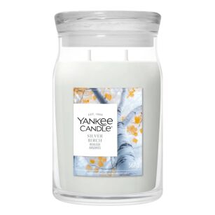 Yankee Candle Silver Birch – duża świeca zapachowa 567 g