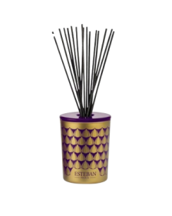 Dekoracyjna pusta karafka z pałeczkami - Esteban Paris - 100ml