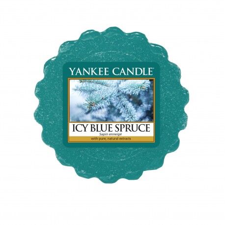 Icy Blue Spruce - Yankee Candlee - wosk zapachowy