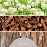 Millefiori Milano White Musk - dyfuzor zapachowy z patyczkami 100 ml - 3