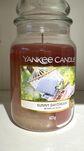 Sunny Daydream Yankee Candle - duża świeca zapachowa - 2