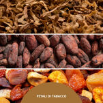 Petali Di Tabacco - Millefiori - dyfuzor zapachowy z patyczkami 100ml  - 7